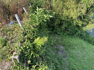  | いちき串木野市住吉町土地