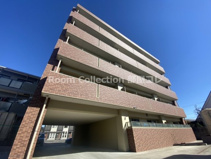 グローリーデイズの画像