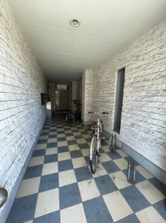 【エントランス】 | プリモクラッセ登戸