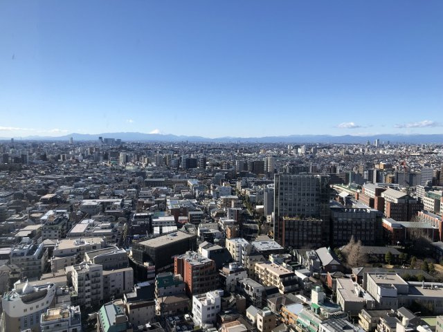 ウエストパークタワー池袋の展望