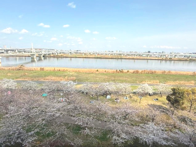 さくらマンション小松川　8階　リ　ノベーション済の展望