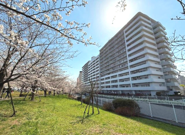 さくらマンション小松川　8階　リ　ノベーション済の外観