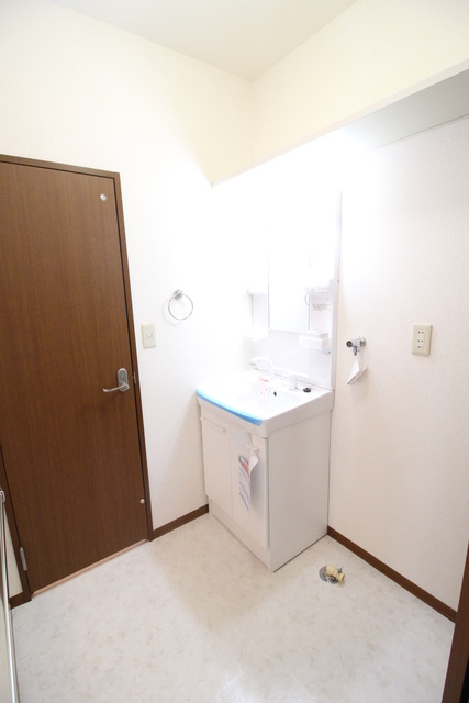 シティパルAの洗面所