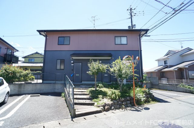 ハミングコート本田