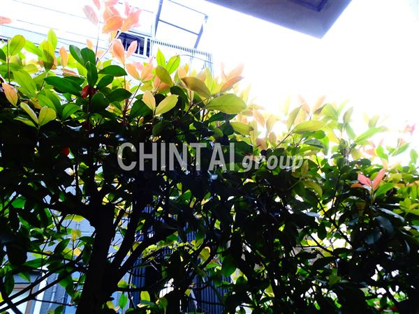 プリムローズ三室の展望