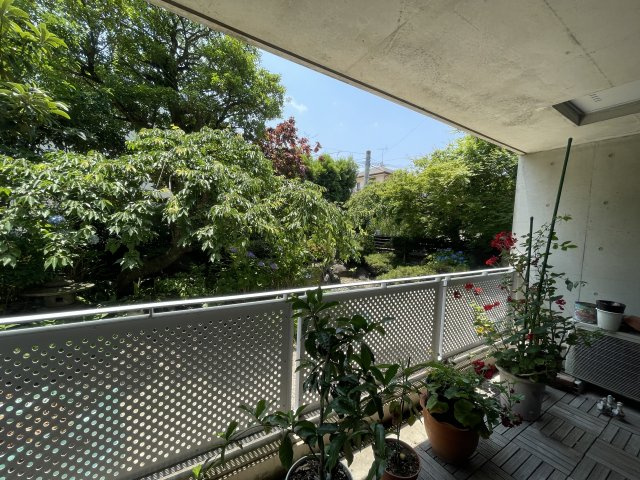 アイビーコート88のバルコニー|アイビーコート88(1階店舗)　バルコニー