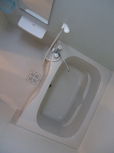 豊橋市大岩町字曲松のアパートの浴室