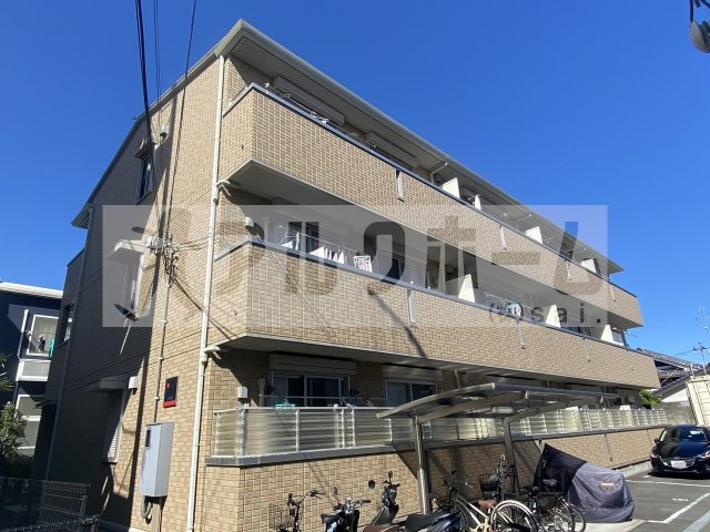 ステラ