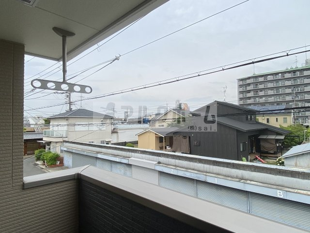 杜若（かきつばた）の展望