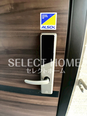  | ルミエール・ドゥ・ソレイユ