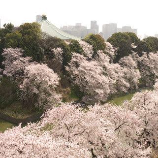 【展望】 | 松岡九段ビル