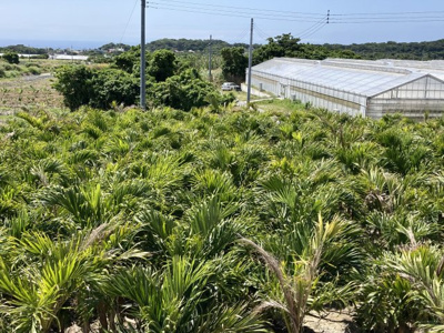 【周辺】 | つきしろ　太平洋が遠望できる土地