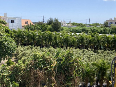 【周辺】 | つきしろ　太平洋が遠望できる土地