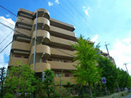 マ・ブランシェット弦月の画像