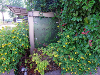 【エントランス】 | ハーベスト・コート