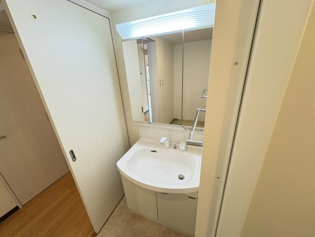 ラ・パラドール中山の独立洗面台