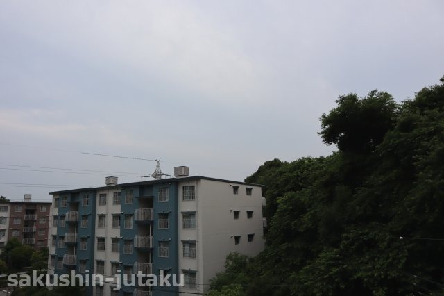 津田沼グリーンハイツの展望|前面の棟は視界の一部　緑が眼下に広がっております
