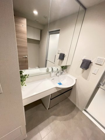 江東区東雲１丁目の賃貸マンションのその他|洗面同反転タイプ・・家具等は付きません
