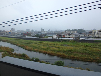 【展望】 | ボナール久