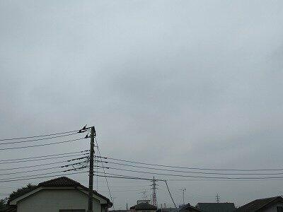 【展望】 | ドルフ三陽六番館