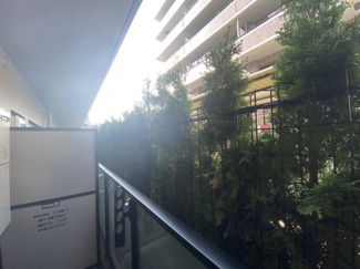 【展望】