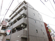ニューカースル伊藤の画像