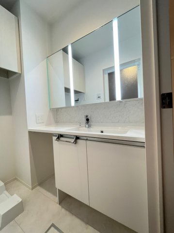 D-room上ノ丸の洗面所