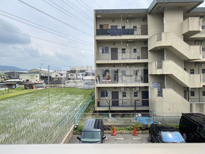 アイレックスの展望