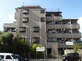 グローバルエイシンの画像