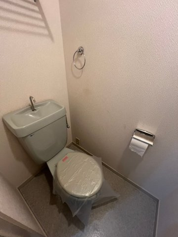 ヴィユー歌敷山のトイレ