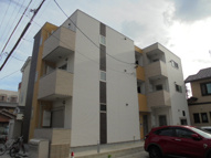 セレジェイラ（cerejeira）の画像