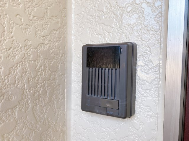 ラピスラズリのセキュリティ