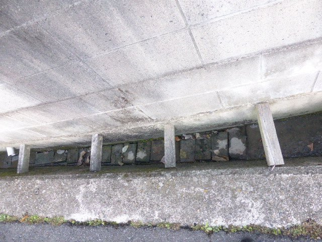 津山市林田　売土地590坪の外観