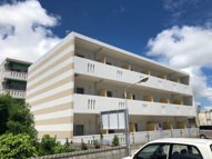 チャムサランの画像