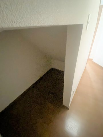 クリオM-Aの内装