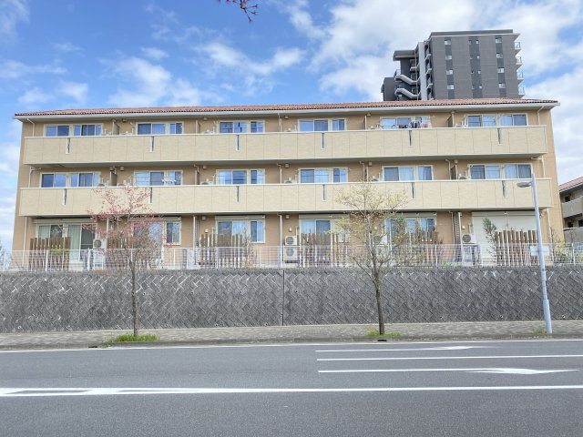 カーザ ヴェルデ C