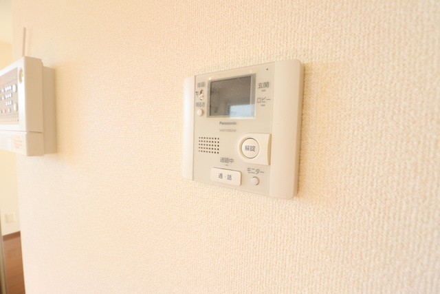 アムールストーンのセキュリティ