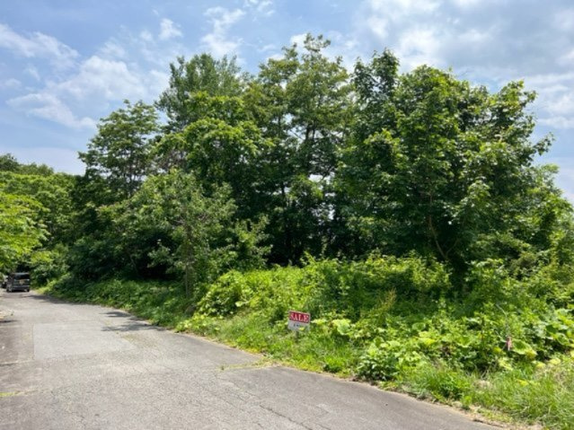 売地　宮古市田老新田