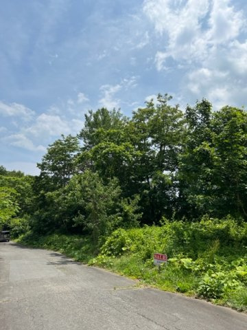 売地　宮古市田老新田