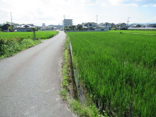 津山市河辺　事業用地579坪（津山インター近く）の前面道路含む現地写真