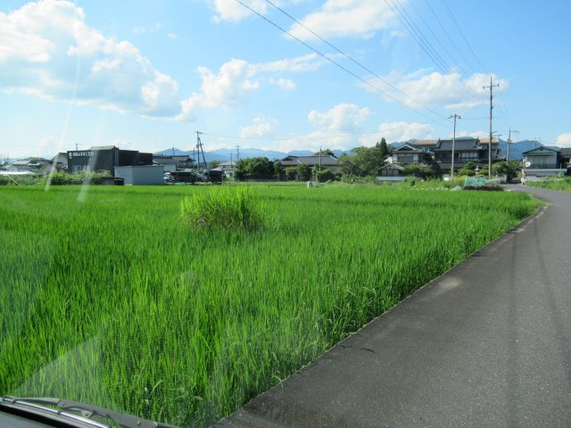 津山市河辺　事業用地579坪（津山インター近く）の前面道路含む現地写真