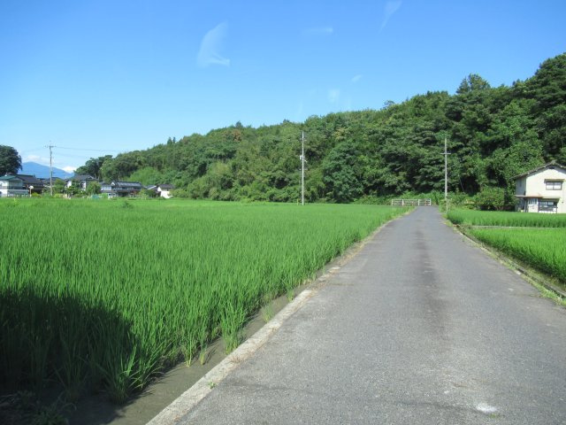 津山市河辺　事業用地579坪（津山インター近く）の前面道路含む現地写真