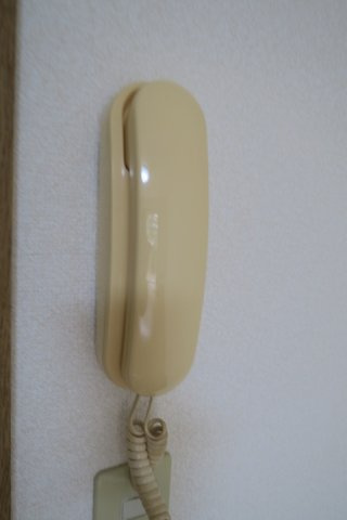 エイペックスⅡのセキュリティ