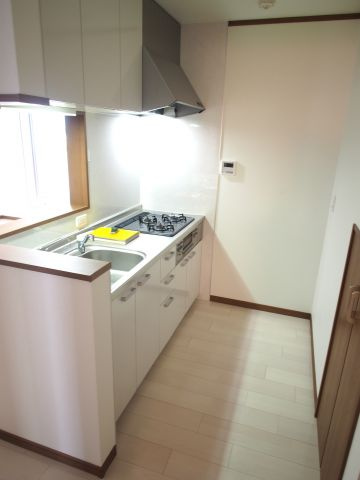 ワイズグリーン大正IIのキッチン