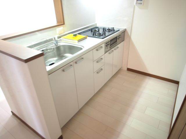 ワイズグリーン大正IIのキッチン