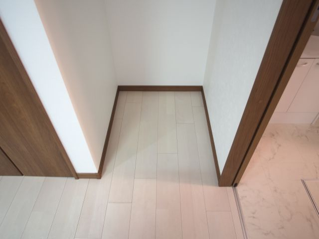 ワイズグリーン大正IIのその他