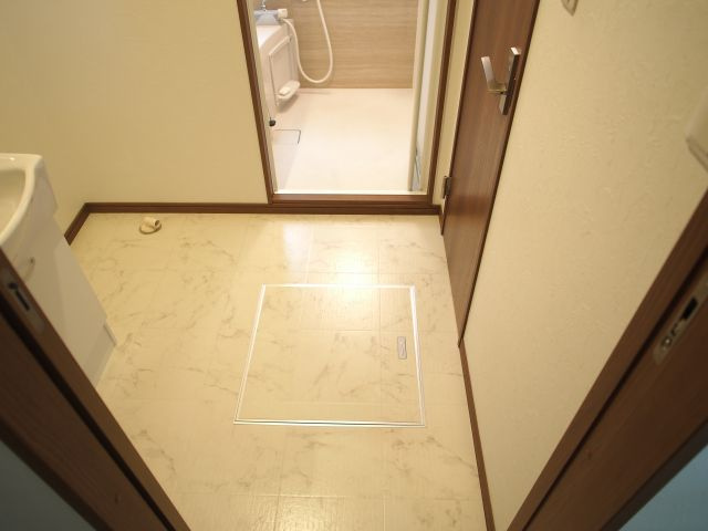 ワイズグリーン大正IIの洗面所