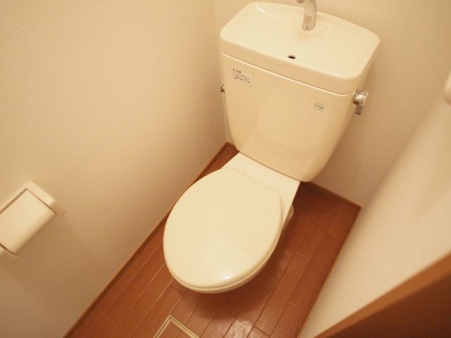 メゾンＤ‘Ｓのトイレ