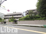 PINE HILLS SETA  パインヒルズセタの画像