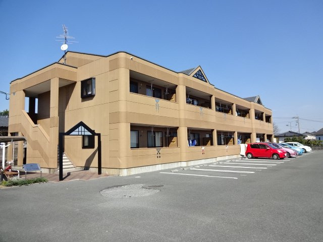 エバーグリーン